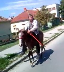 slobodan milosevic zlostavljac konja