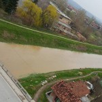 jagodina belica