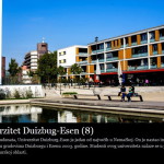 univerzitet esen