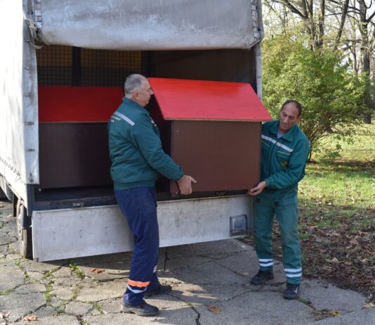 JKP „Čistoća i zelenilo“ i Grad Zrenjanin sa udruženjima postavili kućice za napuštene